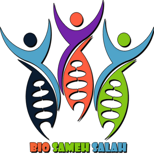 site logo